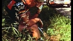 Vive le Tour