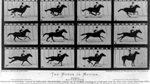 The Weird World of Eadweard Muybridge