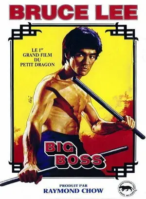 The Big Boss (1971) Free Movie Online