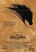 The Black Stallion