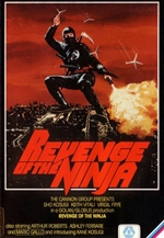 Revenge of the Ninja